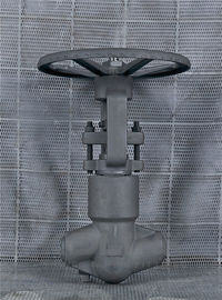 PSB geschmiedetem Stahlglobe-Ventil CL2500 A105 F11 F22